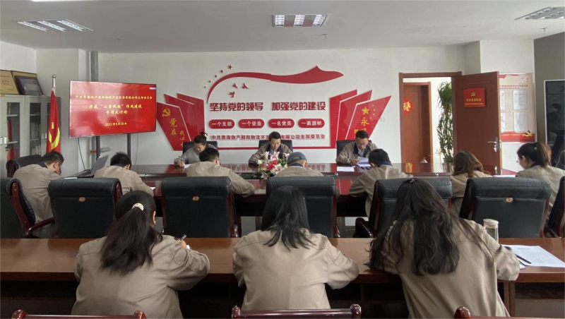 以案促改轉(zhuǎn)作風 堅守底線樹新風   &mdash;&mdash;青海物產(chǎn)朝陽物流開發(fā)投資有限公司支部委員會開展&ldquo;以案促改&rdquo;作風建設專項大討論