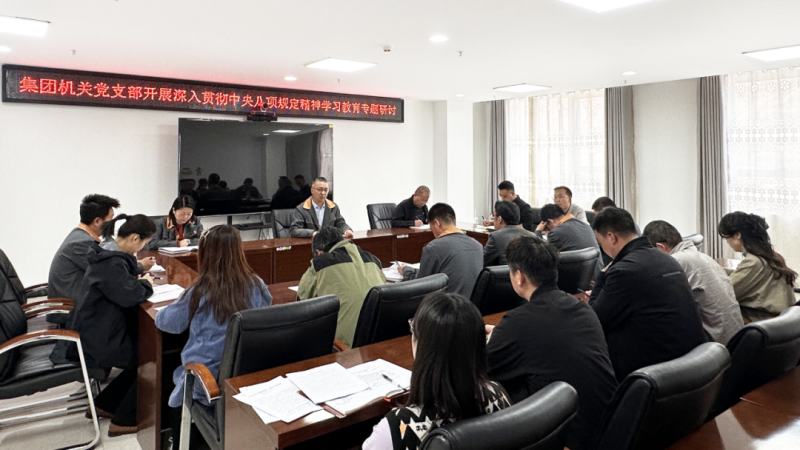 集團(tuán)機(jī)關(guān)黨支部開(kāi)展深入貫徹中央八項(xiàng)規(guī)定精神學(xué)習(xí)教育專題研討
