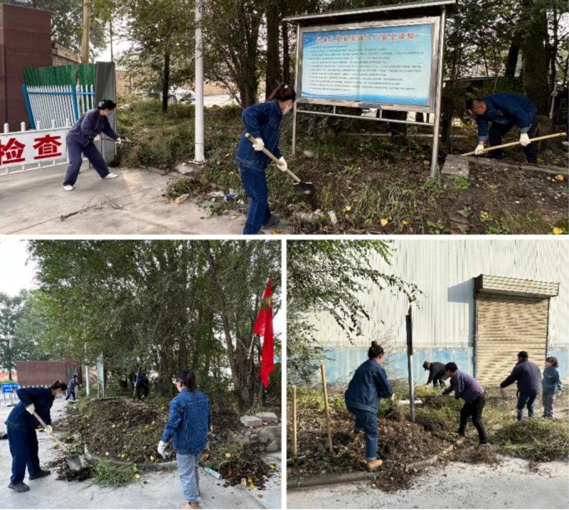 公司兩級黨組織 團(tuán)支部聯(lián)合行動 組織開展&ldquo;清除雜草 美化環(huán)境&rdquo; 主題黨日 團(tuán)日活動