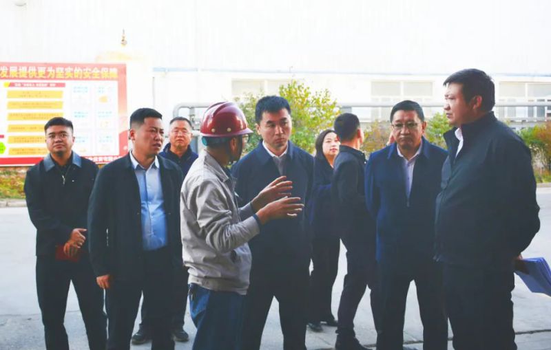 大通縣委副書記、縣長馬明旭一行蒞臨工投公司調(diào)研指導(dǎo)