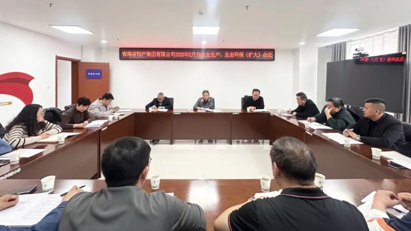 集團召開2025年2月份安全生產(chǎn)、生態(tài)環(huán)保（擴大）會議